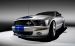 Shelby Shelby Cobra GT500KR Widescreen Picture #16